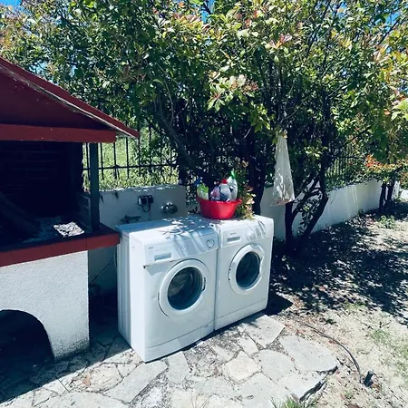 A&g House In *